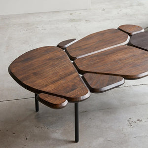 Coffee table in Mango wood and metal