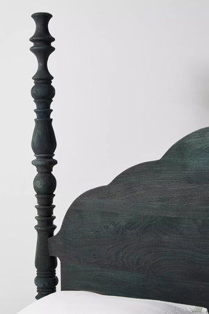 Tiana Solid Mango Wood King Size Non Storage Bed in Black Finish