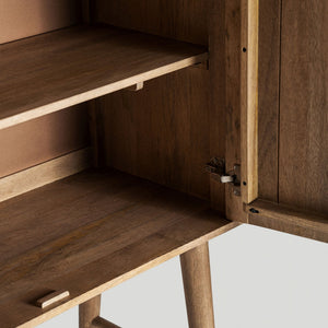 Teshio Solid Mango Wood Cabinet with Two Door in Brown Finish