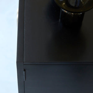 Galatea Solid Mango wood Cabinet with 2 Door in Black Finish