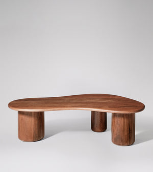 Hima Solid Wood Coffee Table in dark brown Finish