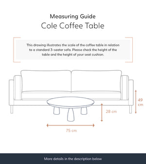 Tiffey Solid Wood Coffee Table in dark brown Finish