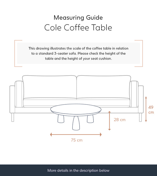 Tiffey Solid Wood Coffee Table in dark brown Finish