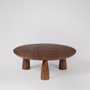 Tiffey Solid Wood Coffee Table in dark brown Finish