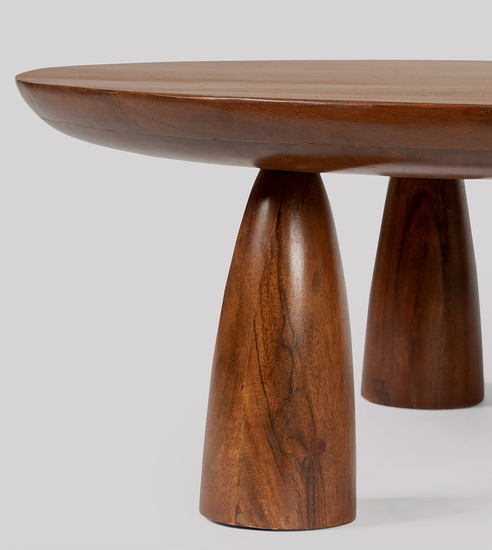 Tiffey Solid Wood Coffee Table in dark brown Finish