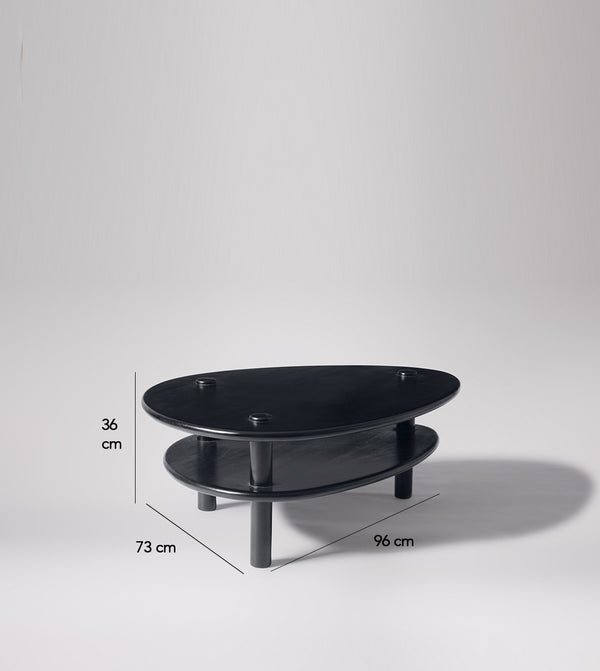Vway Solid Wood Coffee Table in Black Finish
