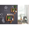 Picture of Solid Wood Sheesham Set of 2 Wall Shelves Shelf  with Shape