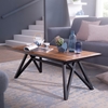 Picture of Solid Wood And Iron Effe Coffee Table