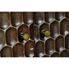 Picture of Honeycomb Solid Mango Wood Two Door Cabinet