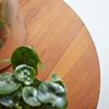 Picture of Auraura - Solid Teak Wood coffee table