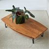 Picture of Drench - Coffee table in solid acacia wood
